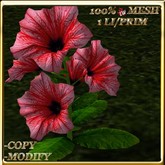 LW_ Potted Coleus Plant Mesh - Blue 1