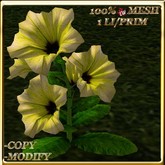 LW_ Potted Coleus Plant Mesh - Blue 1