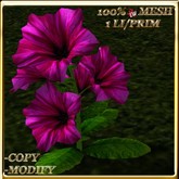 LW_ Potted Coleus Plant Mesh - Blue 1
