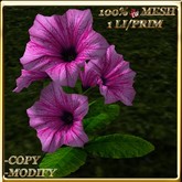 LW_ Potted Coleus Plant Mesh - Blue 1