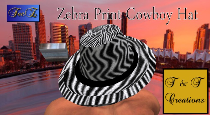T & T Python Cowboy Hat
