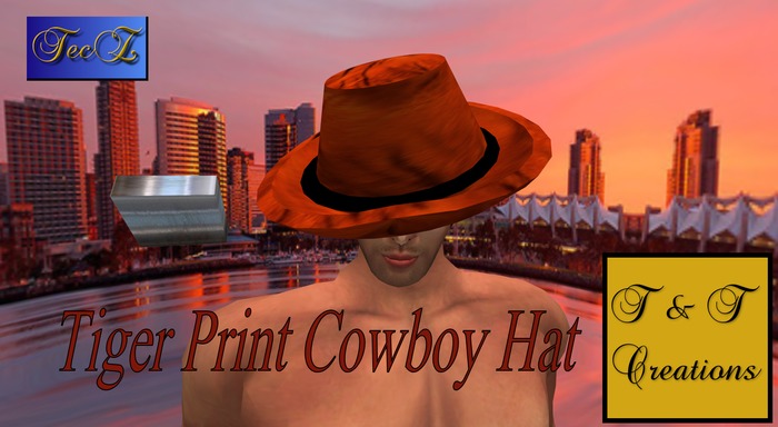 T & T Python Cowboy Hat