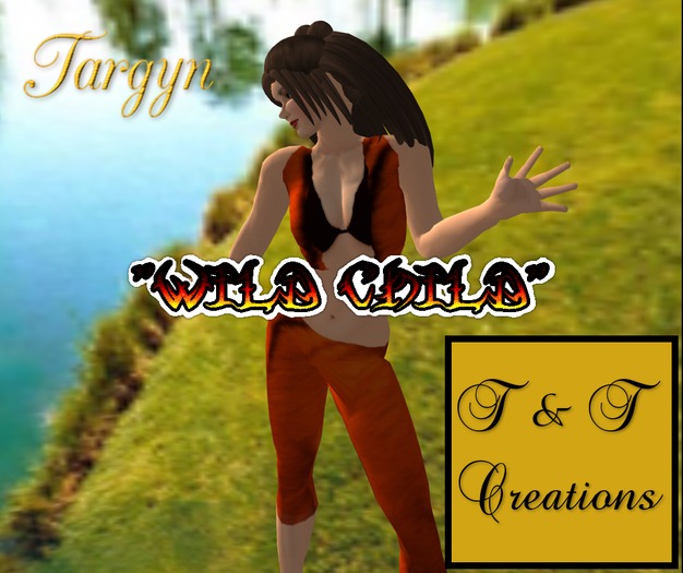 T & T TecZ-AF Tiger Outfit