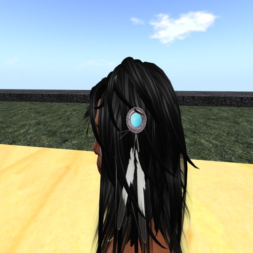 DOGGY TQ conchoco /  wolf  feather