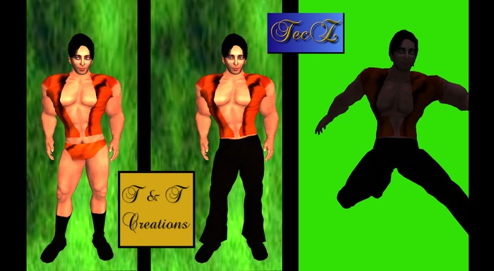 T & T TecZ-AM Tiger Outfit