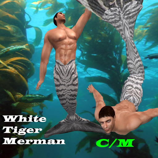 Merman Tiger WHITE