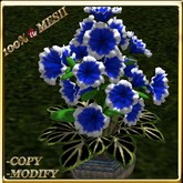 LW_ Petunias and Caladiums in Barrel - Dark Blue White
