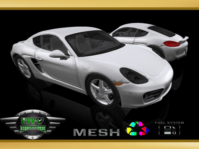 (CC CUSTOMZ) Hayman GTS 