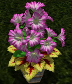 LW_ Petunias and Coleus in Barrel - Pink 3