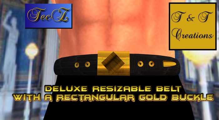 T & T DeluxeBlackLeatherBeltG