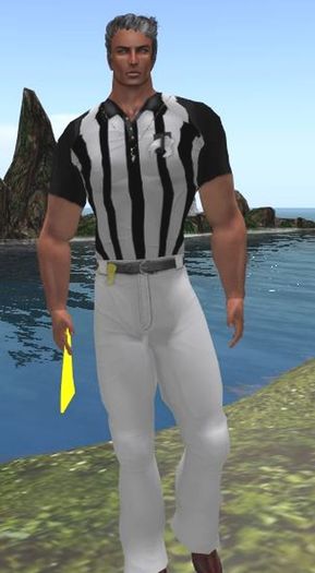 Referee set