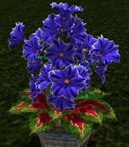 LW_ Potted Coleus Plant Mesh - Blue 1