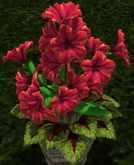 LW_ Potted Coleus Plant Mesh - Blue 1