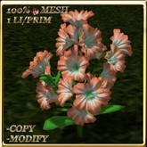 LW_ Mesh Petunia Plant -  Coral (1 LI / Prim)