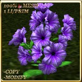 LW_ Potted Coleus Plant Mesh - Blue 1