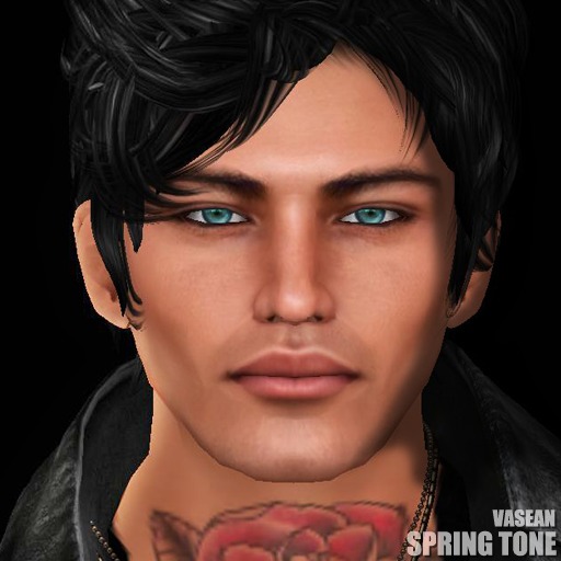 -NIVARO - Vasean Skin - Spring Tone