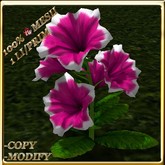 LW_ Petunia Plant Mesh - Pink White (1 LI / Prim)