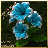 LW_ Potted Coleus Plant Mesh - Blue 1