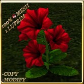 LW_ Potted Coleus Plant Mesh - Blue 1