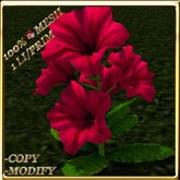 LW_ Potted Coleus Plant Mesh - Blue 1