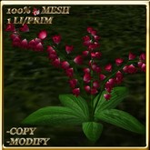 LW_ Potted Coleus Plant Mesh - Blue 1