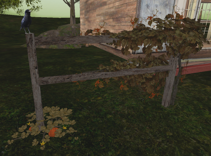 Languor BIrd Watching Fence-Winter