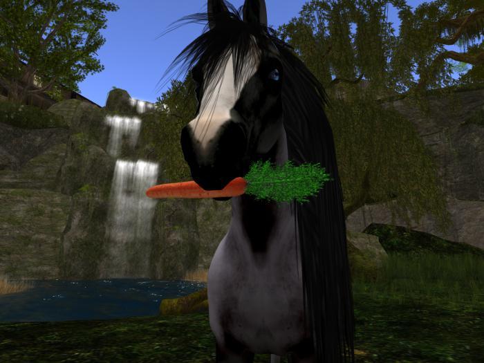 >VAL< *Carrots basket*