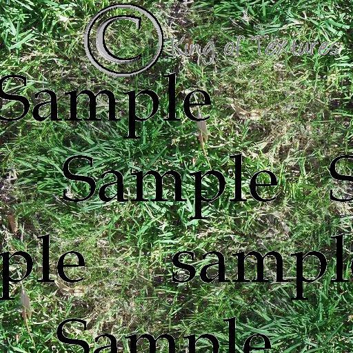Grass Seamless Texture S03