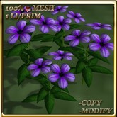 LW_ Potted Coleus Plant Mesh - Blue 1