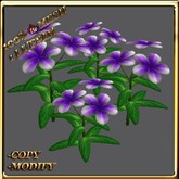 LW_ Periwinkle Flower Mesh - Purple White 1 (1 LI / Prim)