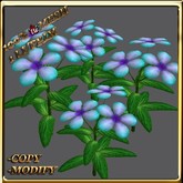 LW_ Potted Coleus Plant Mesh - Blue 1