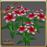 LW_ Potted Coleus Plant Mesh - Blue 1