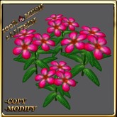 LW_ Periwinkle Flower Mesh - Bright Pink (1 LI / Prim)
