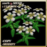 LW_ Potted Coleus Plant Mesh - Blue 1