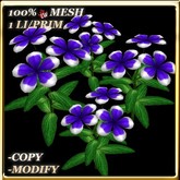 LW_ Potted Coleus Plant Mesh - Blue 1