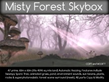 Misty Forest Skybox Vendor