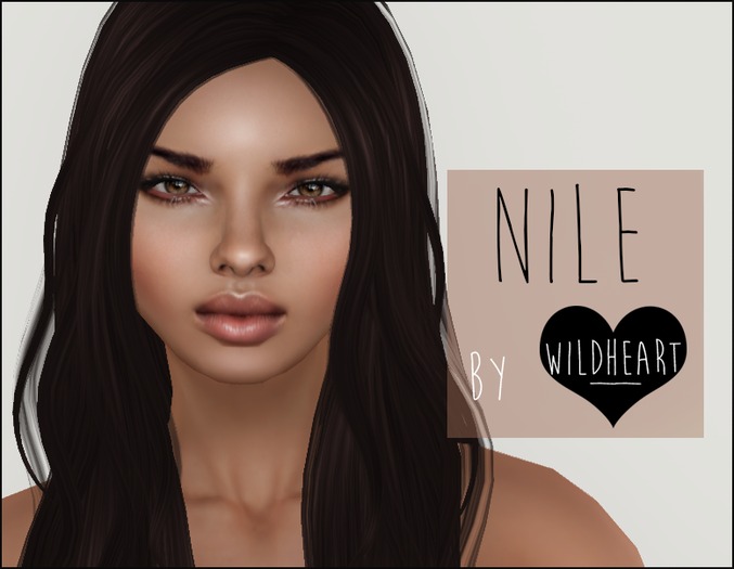 WILDHEART. Nile Skin Template Kit [PSD]