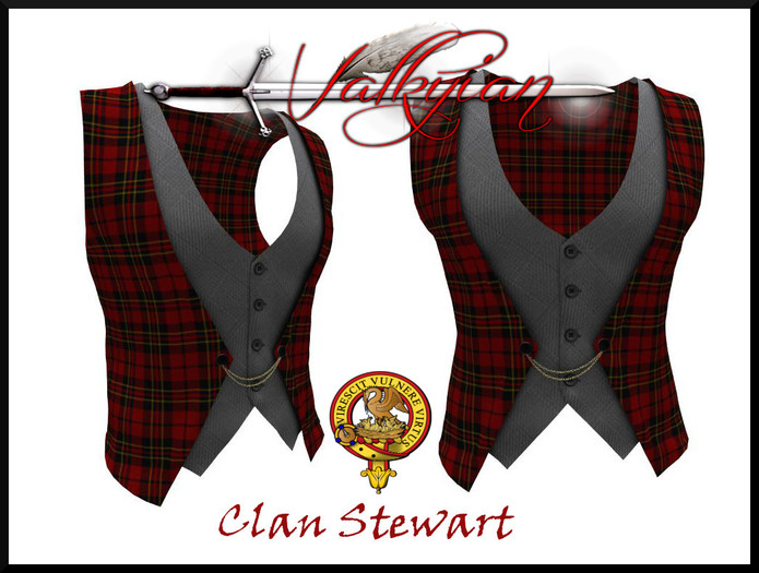 ~Valkyrian~Stewart double brested shirt 