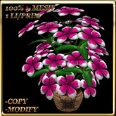LW_ Potted Periwinkles Flowers Mesh - Pink White