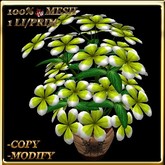 LW_ Potted Coleus Plant Mesh - Blue 1