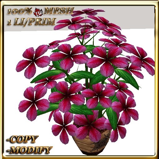 LW_ Potted Coleus Plant Mesh - Blue 1