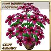 LW_ Potted Coleus Plant Mesh - Blue 1