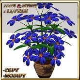 LW_ Potted Coleus Plant Mesh - Blue 1
