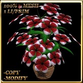 LW_ Potted Coleus Plant Mesh - Blue 1