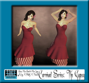 Carnival Series: The Gypsy Gown