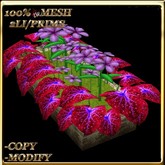 LW_ Caladiums and Periwinkles Planter - Lilac 5 (2 LI / Prims)