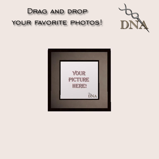 DNA Mesh Frame - Sqaure  1Li