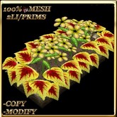 LW_ Potted Coleus Plant Mesh - Blue 1