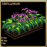 LW_ Coleus and Periwinkles Planter - Green Yellow Pink