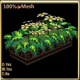 LW_ Coleus and Periwinkles Planter - Green Yellow 